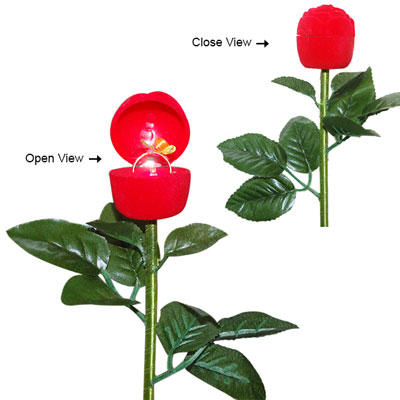 "Artificial Rose with Ring (Comes with Lighting N Music) -030 - Click here to View more details about this Product